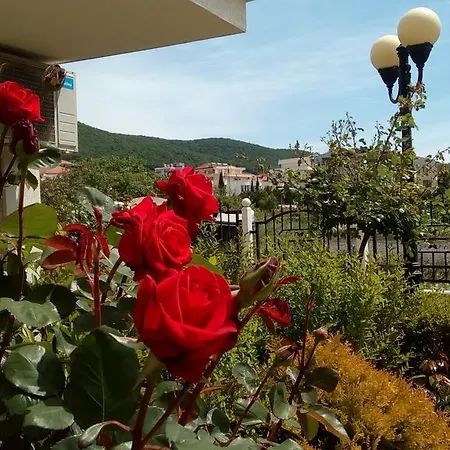 In Rodina 1 Daire Sveti Vlas